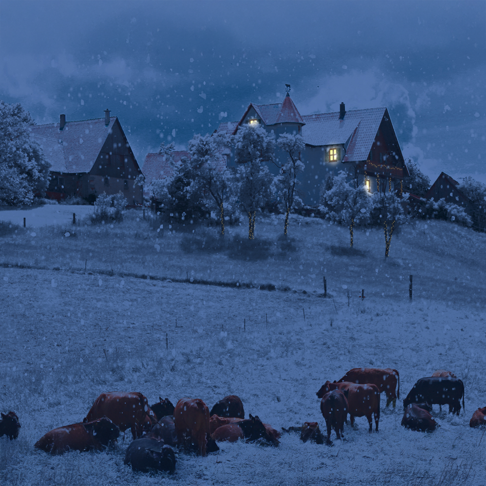 Weihnachtsmarkt bei der Angus Hill Ranch in Insingen