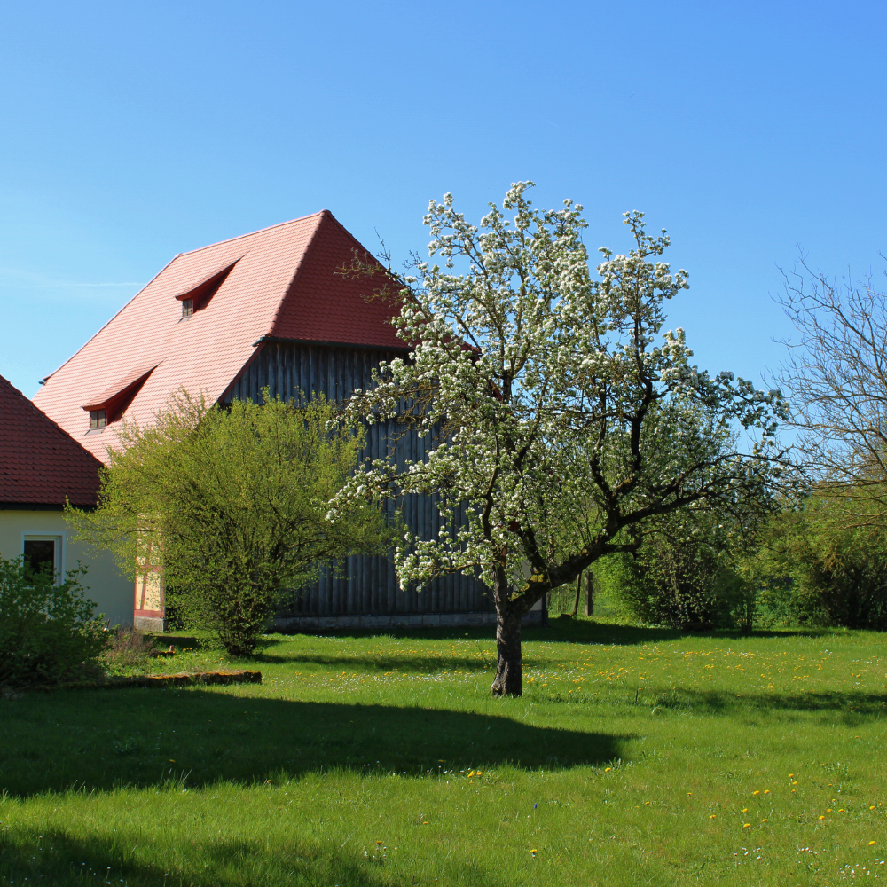 Sonnenschein in Geslau