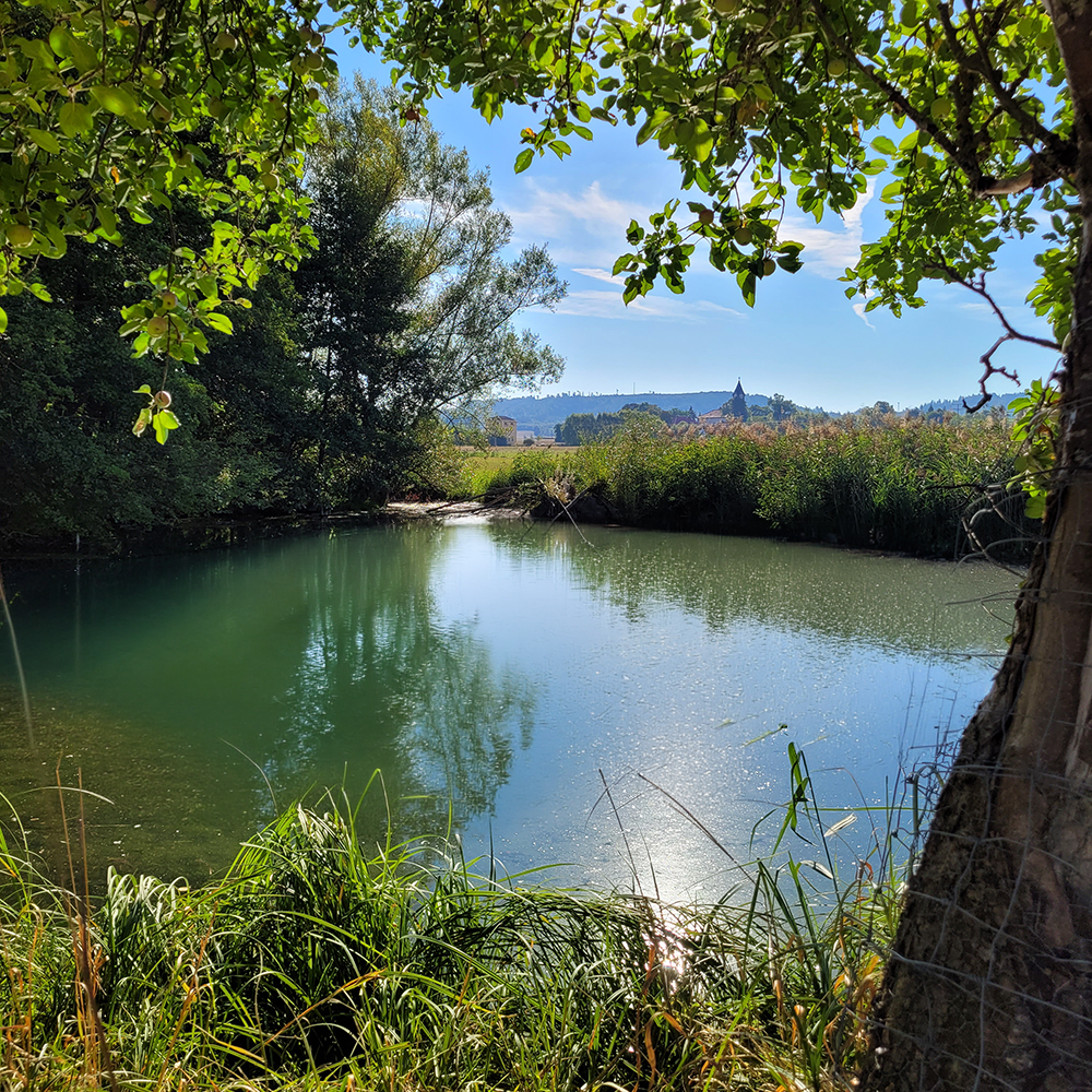 Das Bodenlose Loch in Diebach
