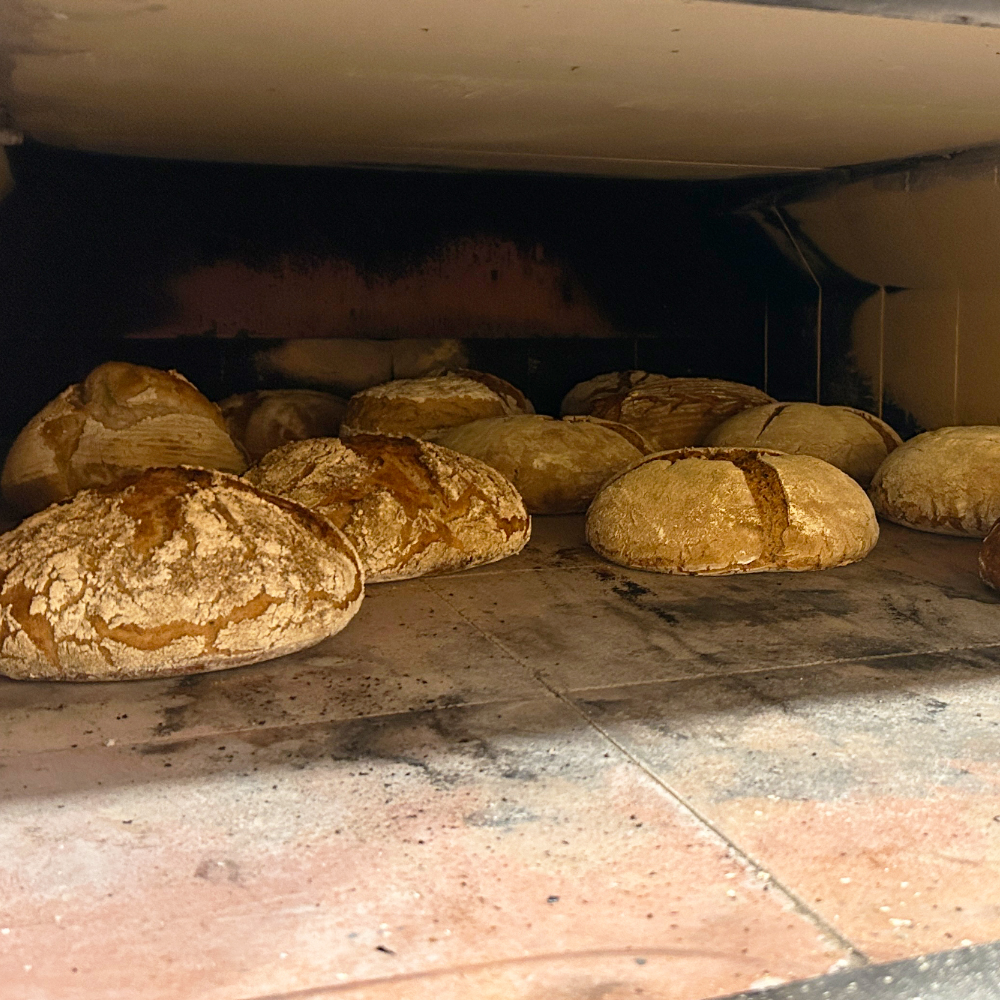 Brot im Holzbackofen im Obst- und Gartenbauverein Colmberg