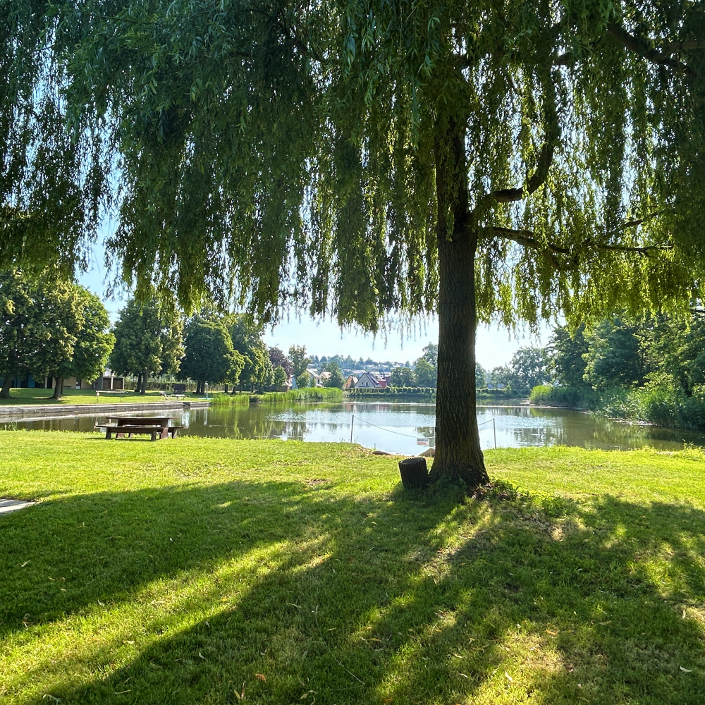 Der Naturbadeweiher im Freibad Feuchtwangen