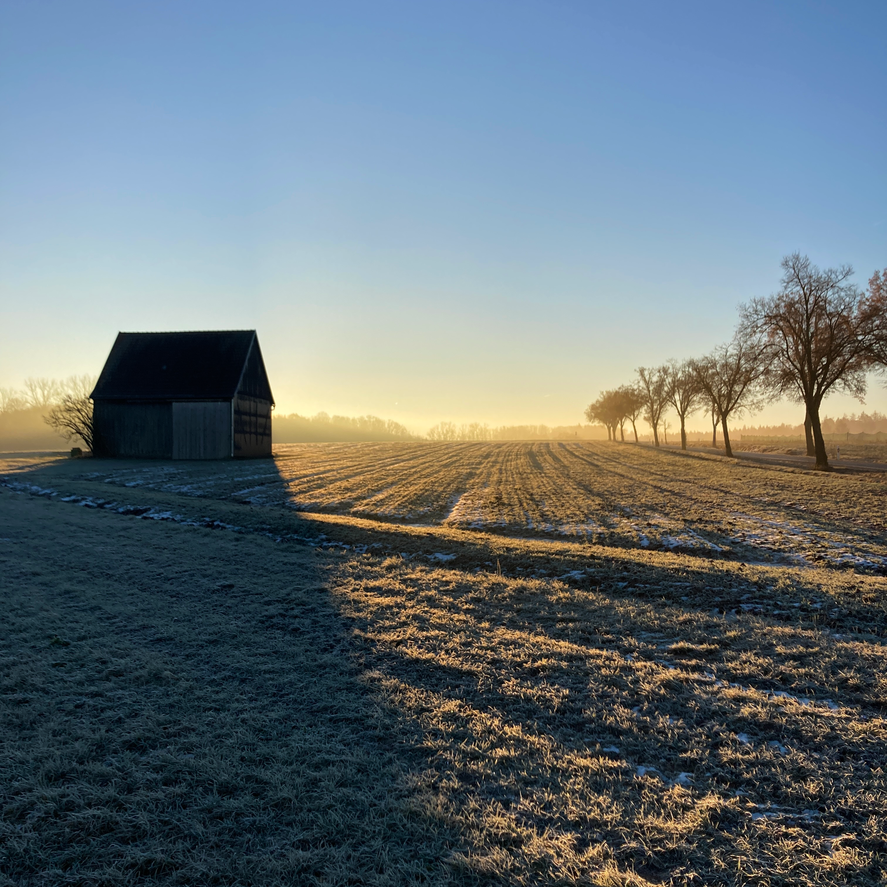 Frostiger Wintermorgen in Schillingsf&uuml;rst