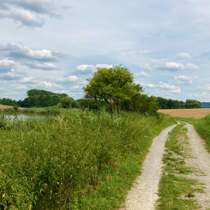 Naturparadies Großer Lindleinsee