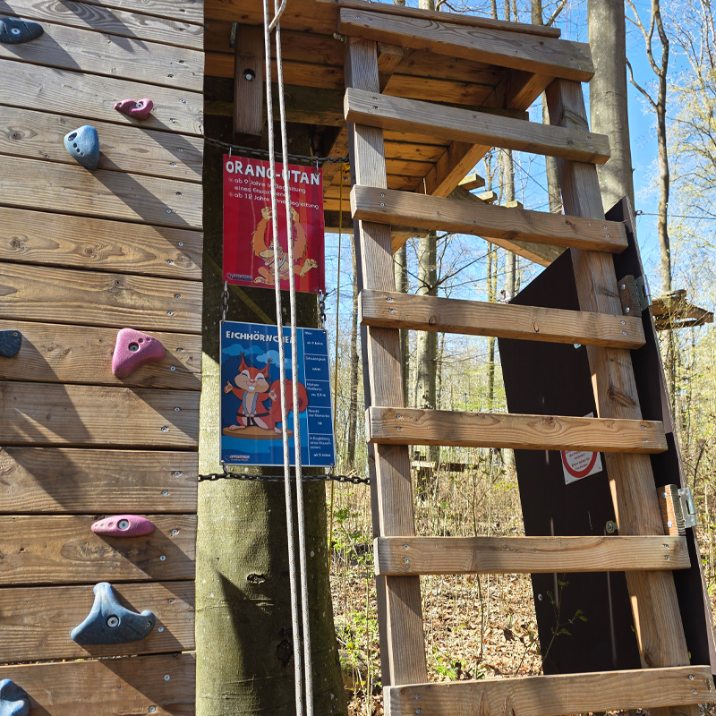 Verschiedene Schwierigkeitsgrade sorgen für Abwechslung