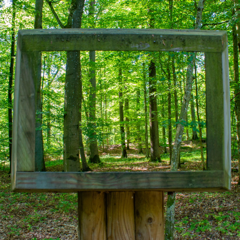 Schaurahmen auf dem Naturlehrpfad Ohrenbach