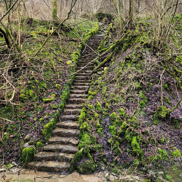 Treppenwasserfall am Rande des Weges