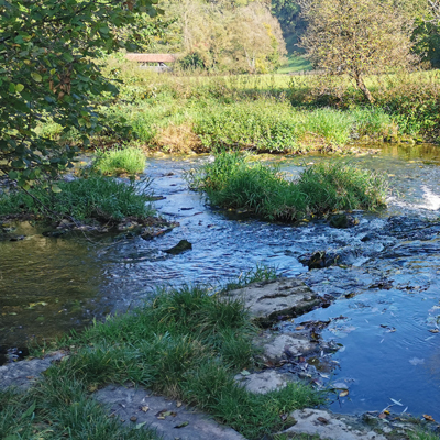 Die Tauber am Topplerschlösschen