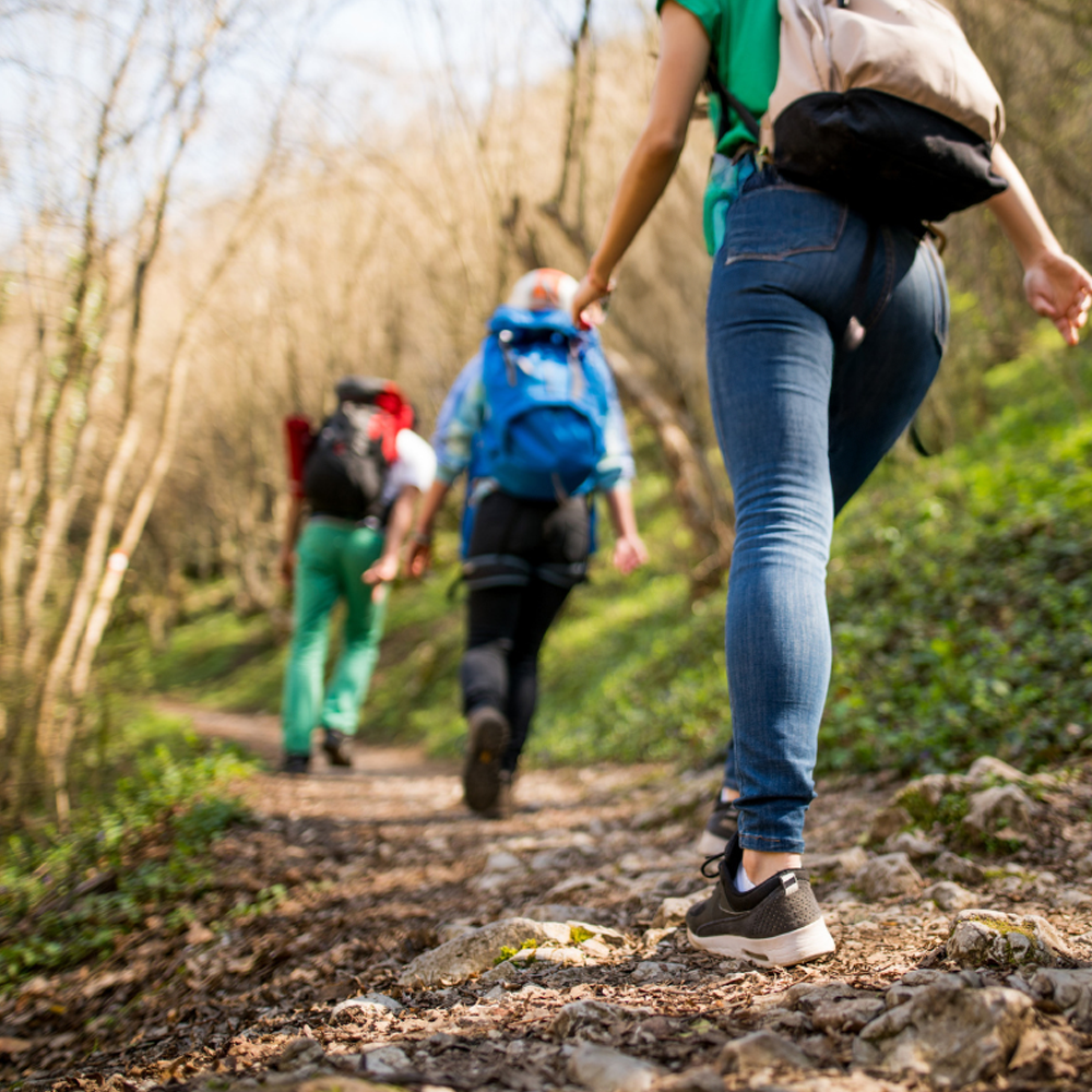 Rothenburger Fr&uuml;hlingswanderwochen 2026