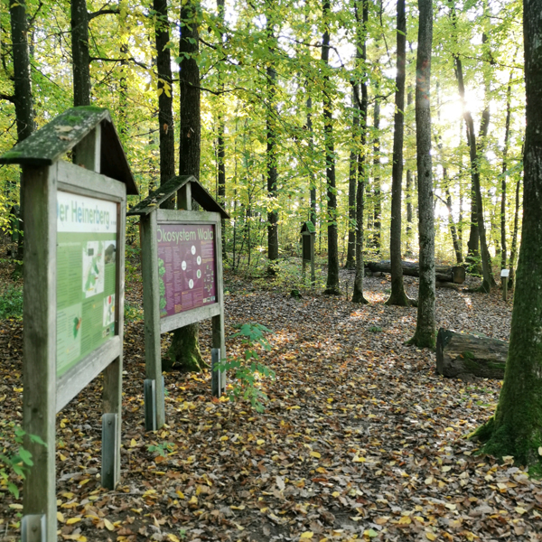 Waldklassenzimmer Wörnitz Infotafeln