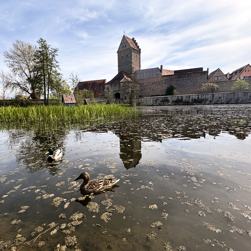 Das Rothenburger Tor in Dinkelsb&uuml;hl im Fr&uuml;hling