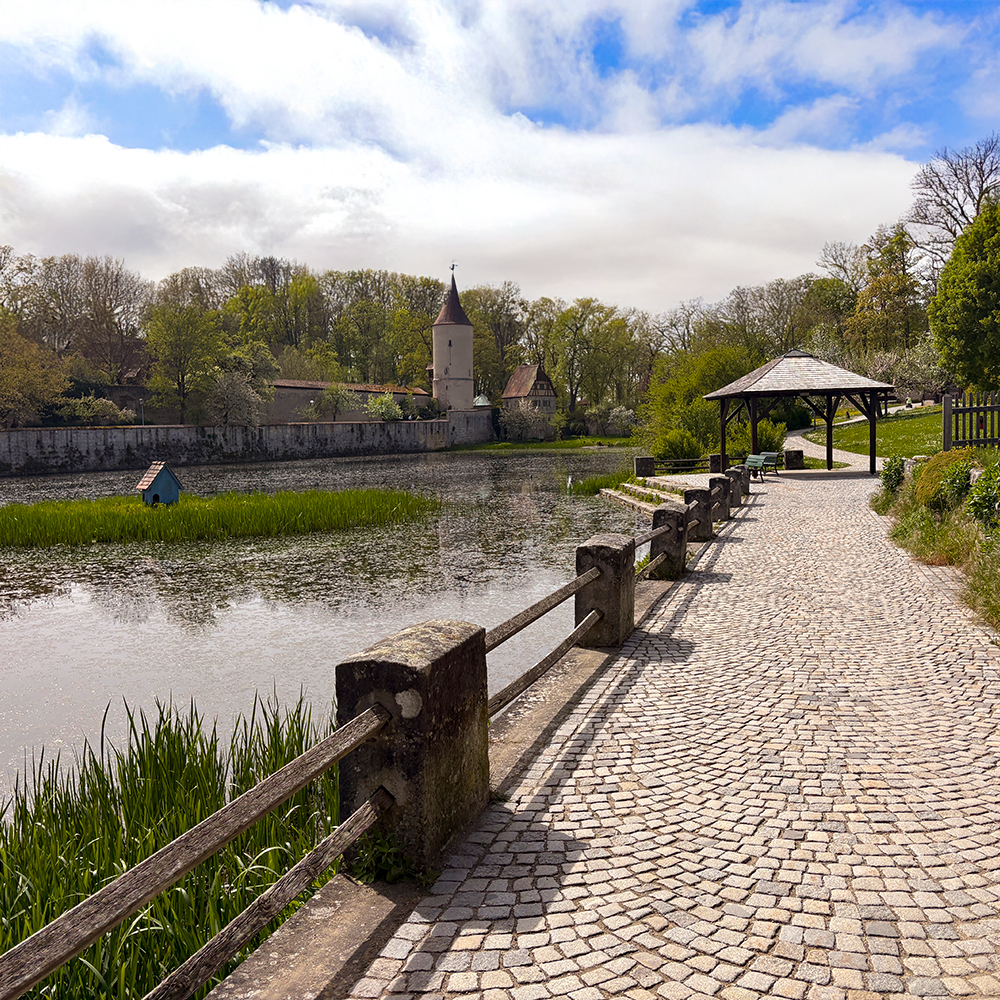 Fr&uuml;hling am Rothenburger Weiher in Dinkelsb&uuml;hl