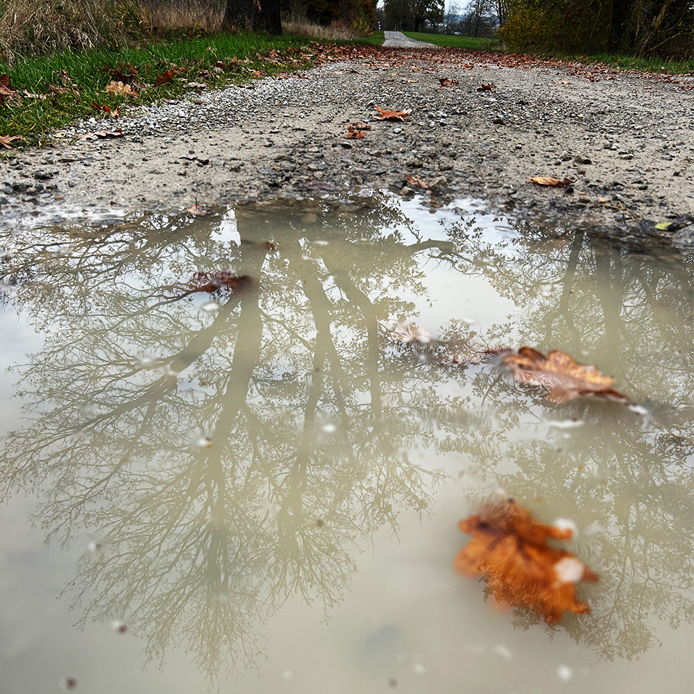 Regnerisches Wetter im Herbst 2024