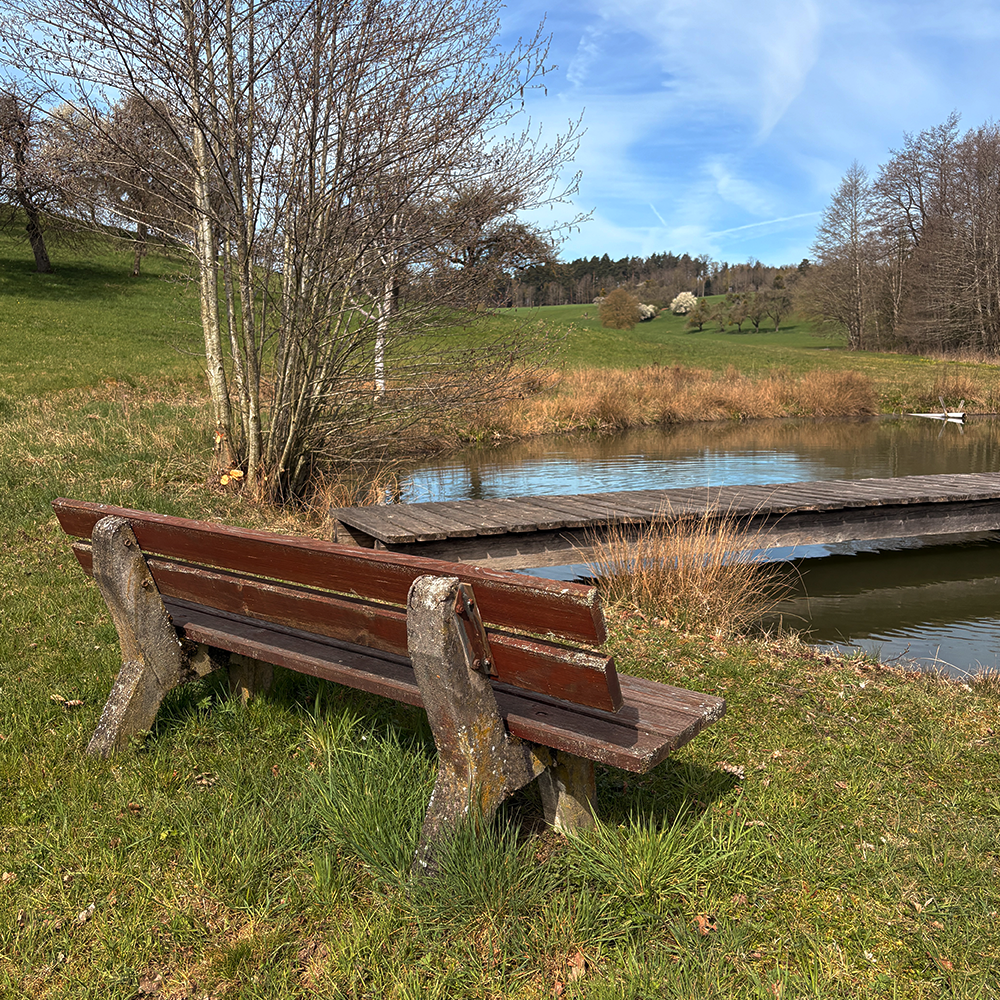 Der Weiher in Altengreuth bei Schillingsfürst im Frühling
