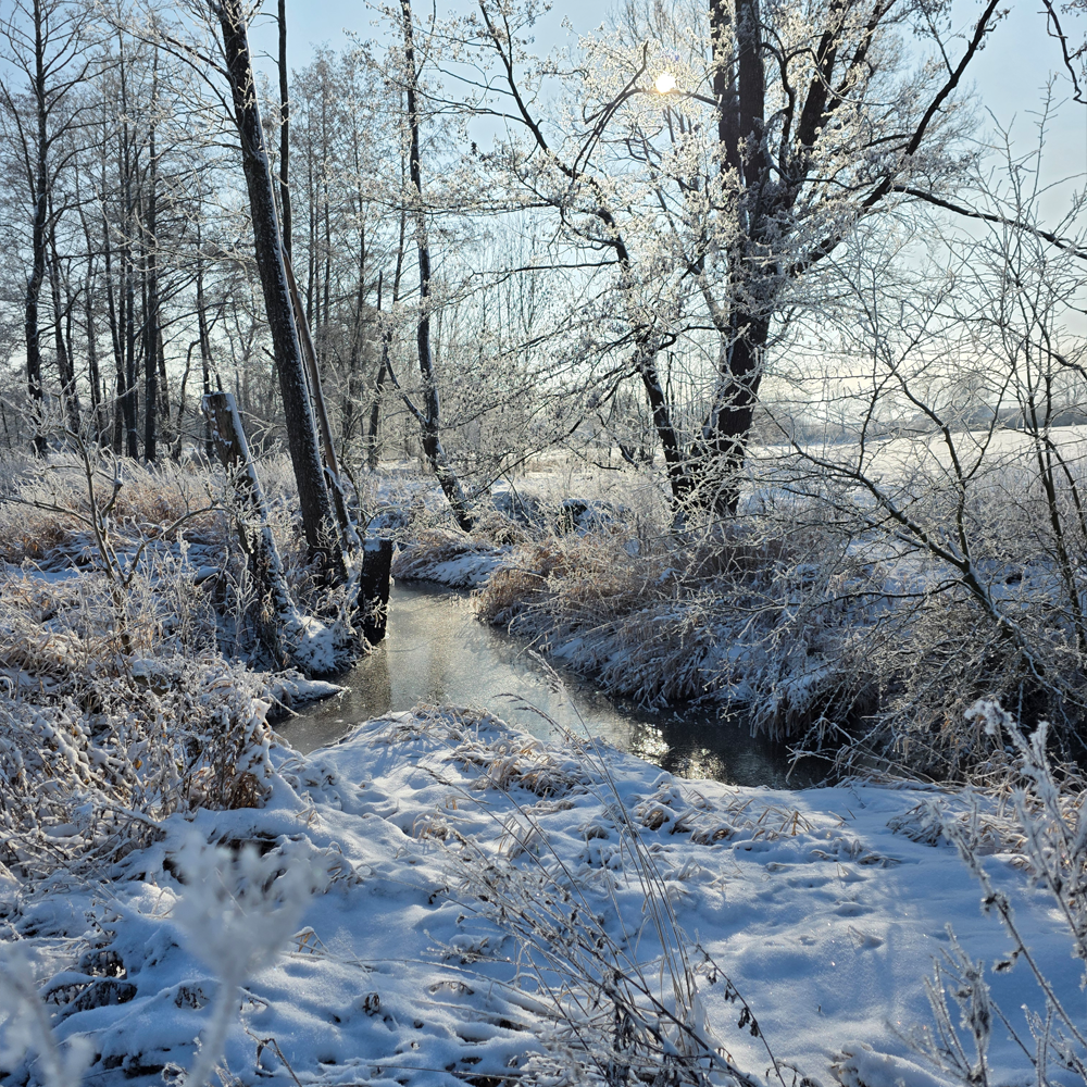 Ein frostiger Wintermorgen an der W&ouml;rnitz