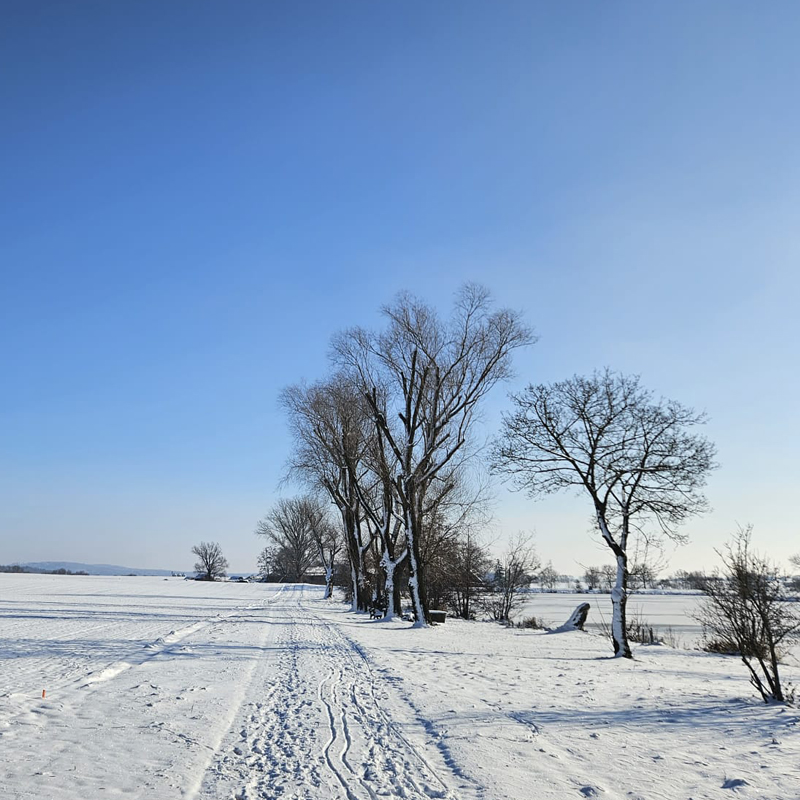 Winterspaziergang am Hornauer Weiher © Julia Ploch