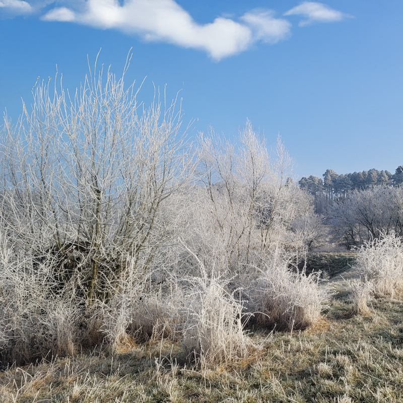 Ein frostiger Morgen in Bersbronn bei Schillingsfürst © Sandra Lieb