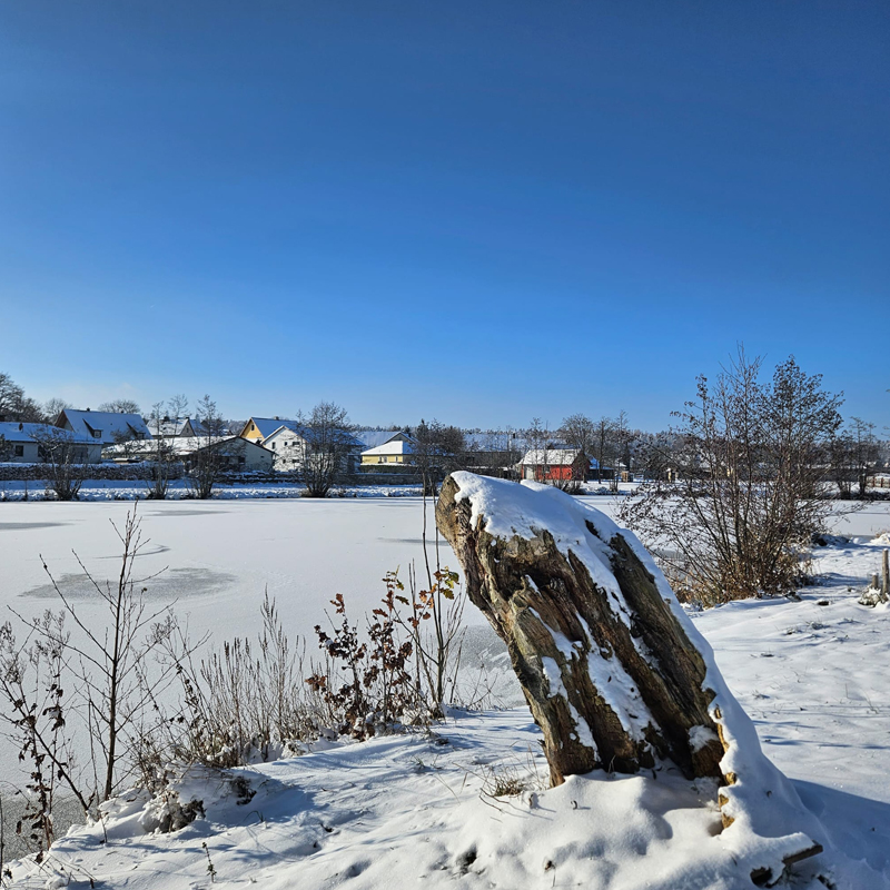 Winter am Hornauer Weiher in der Gemeinde Windelsbach