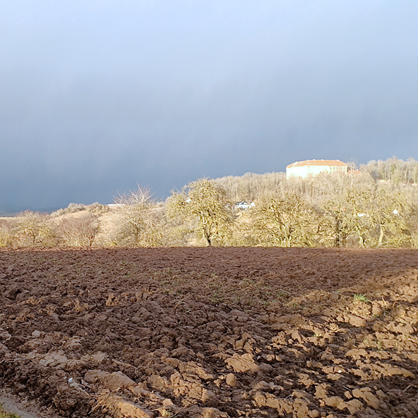 Blick auf Schloss Schillingsfürst: Oft herrschte im Winter schon Aprilwetter mit Graupel und Sonne im Wechsel. 