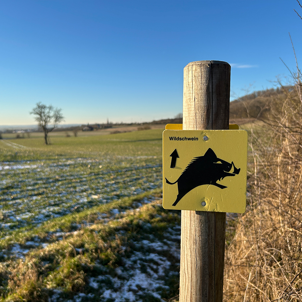 Hinweisschild auf dem Wanderweg Wildschwein in Colmberg