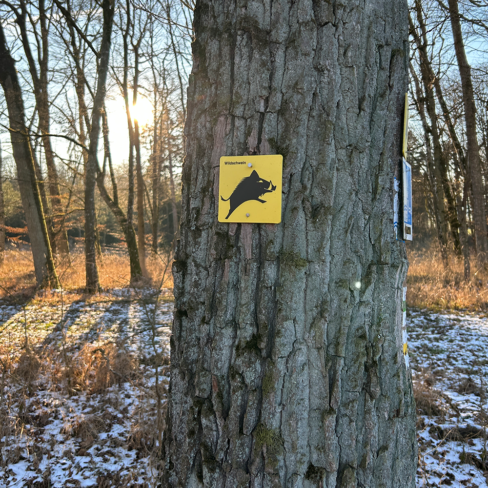 Wandermarkierung Wildschwein