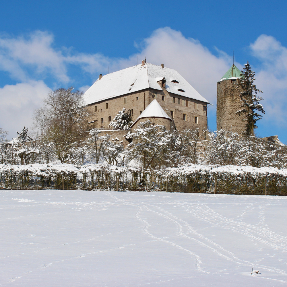 Burg Colmberg im Schnee